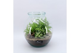 Arrangementen kamerplanten GRCR-2553 Green Essentials Terrarium 3 pp
