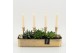 Arrangementen kamerplanten GRCR-2572 Green Essentials 3 pp 