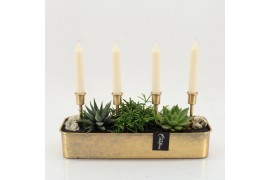 Arrangementen kamerplanten GRCR-2572 Green Essentials 3 pp