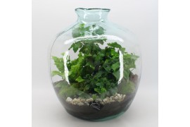 Arrangementen kamerplanten GRCR-2555 Green Essentials Terrarium 4 pp
