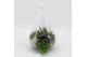 Arrangementen kamerplanten GRCR-2543 Green Essentials Terrarium 2 pp 