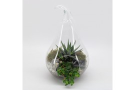 Arrangementen kamerplanten GRCR-2543 Green Essentials Terrarium 2 pp