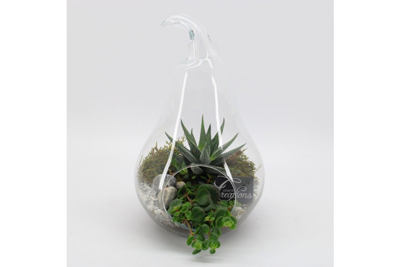 Arrangementen kamerplanten GRCR-2543 Green Essentials Terrarium 2 pp Arrangementen kamerplanten GRCR-2543 Green Essentials Terrarium 2 pp