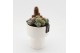 Arrangementen cactus CTCR-2548 Cactus Essentials 2 pp 