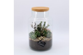 Arrangementen cactus CTCR-2503 Cactus Essentials Terrarium 3 pp
