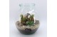 Arrangementen cactus CTCR-2506 Cactus Essentials Terrarium 3 pp 