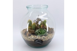 Arrangementen cactus CTCR-2506 Cactus Essentials Terrarium 3 pp