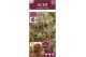 Acer palmatum dissectum 90 cm cm stam 