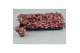 Fittonia pink anne 