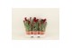 Celosia argentea cristata twisted strawberry 