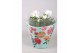 Rosa favourite white Rosa Favourite Roses white schaal +seizoenshoes 