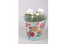 Rosa favourite white Rosa Favourite Roses white schaal +seizoenshoes