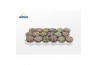 Lithops hookeri Lithops Mix (group)