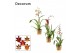 Cambria mix decorum 1 tak lang 