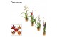 Cambria mix decorum 1 tak lang 
