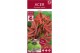 Acer palmatum shaina 90 cm cm stam 