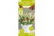 Buddleja davidii butterfly candy little white 