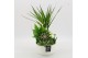 Arrangementen kamerplanten BACR-2509W Basic fundamentals 4 pp 