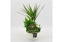 Arrangementen kamerplanten BACR-2509W Basic fundamentals 4 pp