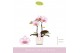 Phalaenopsis roze MyMonro - Make-up - 2 tak - Lazio White 