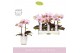 Phalaenopsis roze MyMonro - Make-up - 2 tak - Molise White Aquo 