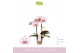 Phalaenopsis roze MyMonro - Make-up - 2 tak, 6+ 