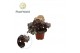 Begonia blad rex magic colours cumbia Begonia rex Cumbia 8,5cm 3 pp 