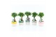 Ficus microcarpa ginseng Ficus micr. Ginseng in Two Tone keramiek 1 pp 