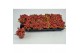 Fittonia FITTONIA RUBY RED 8,5 CM 