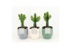 Euphorbia in expression keramiek 