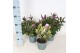Hebe addenda mix Hebe Addenda® Mix groen+ bont P12 