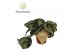 Begonia blad rex magic colours bostella Begonia rex Bostella 12cm 3 pp 