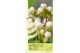 Hypericum Miracle Blizz 