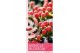 Hypericum miracle blossom 