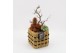 Arrangementen cactus CTCR-2528 Cactus Essentials 2 pp 