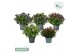 Hebe addenda mix donna mixlaag groen 