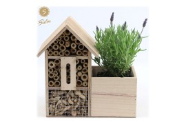 Lavandula stoechas anouk in insect hotel