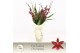 Burrageara barrocco red 7+ spike Exclusiva Orchidea Potcover 