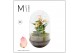 Arrangementen anthurium Karma Hotlips | Terrarium Egg 