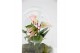 Arrangementen anthurium Karma Hotlips | Terrarium Egg 