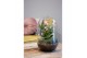 Arrangementen anthurium Karma Hotlips | Terrarium Egg 