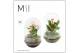Arrangementen anthurium Karma Mix | Terrarium Nature 