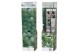 Vitis vinifera wit 