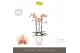 Phalaenopsis multiflora geel Optimost - Belle Helene - 3 tak - Emilia  