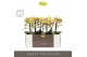 Phalaenopsis multiflora geel Optimost - Luna - 2 tak - Emilia Brown Aq 