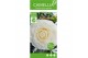 Camellia japonica matterhorn 