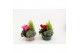 Arrangementen perkplanten Zinken Schaal Storm 
