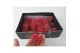 Tillandsia ionantha rubra intens red 