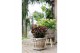 Hypericum Mixtray 