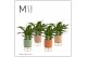 Spathiphyllum chopin 3+ bloem - Emma keramiek, Craft world 